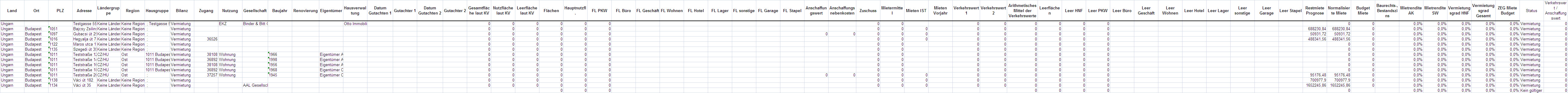 Tabelle Immobilienportfolio Blatt 1